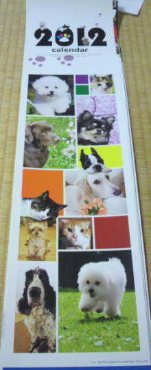 2011110121380000.jpg