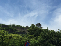 92B632C9-9EDF-49F9-9C35-0E4D3ABC7CD1.jpg