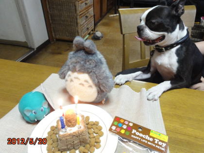 DSC06236 - コピー.JPG