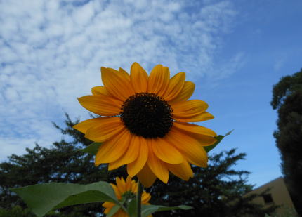 DSCN0870.JPG