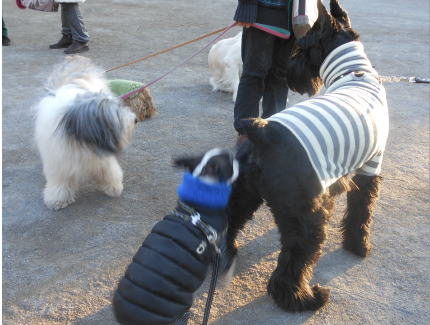 DSCN3009.JPG