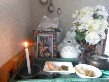 DSCN4843.JPG