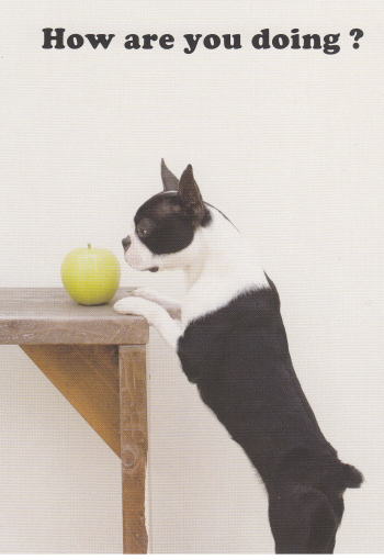IMG.jpg