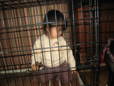 IMG_0103-bab5d.jpg