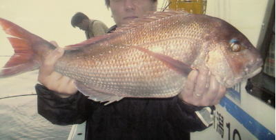 P1000077.jpg