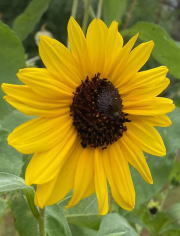image0 (2).jpeg