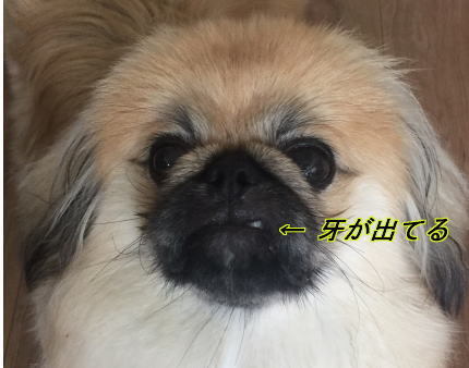 image1.jpeg