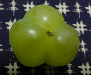 DSC04860.JPG