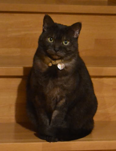 DSC_1581.JPG