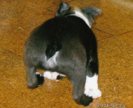 IMG.jpg